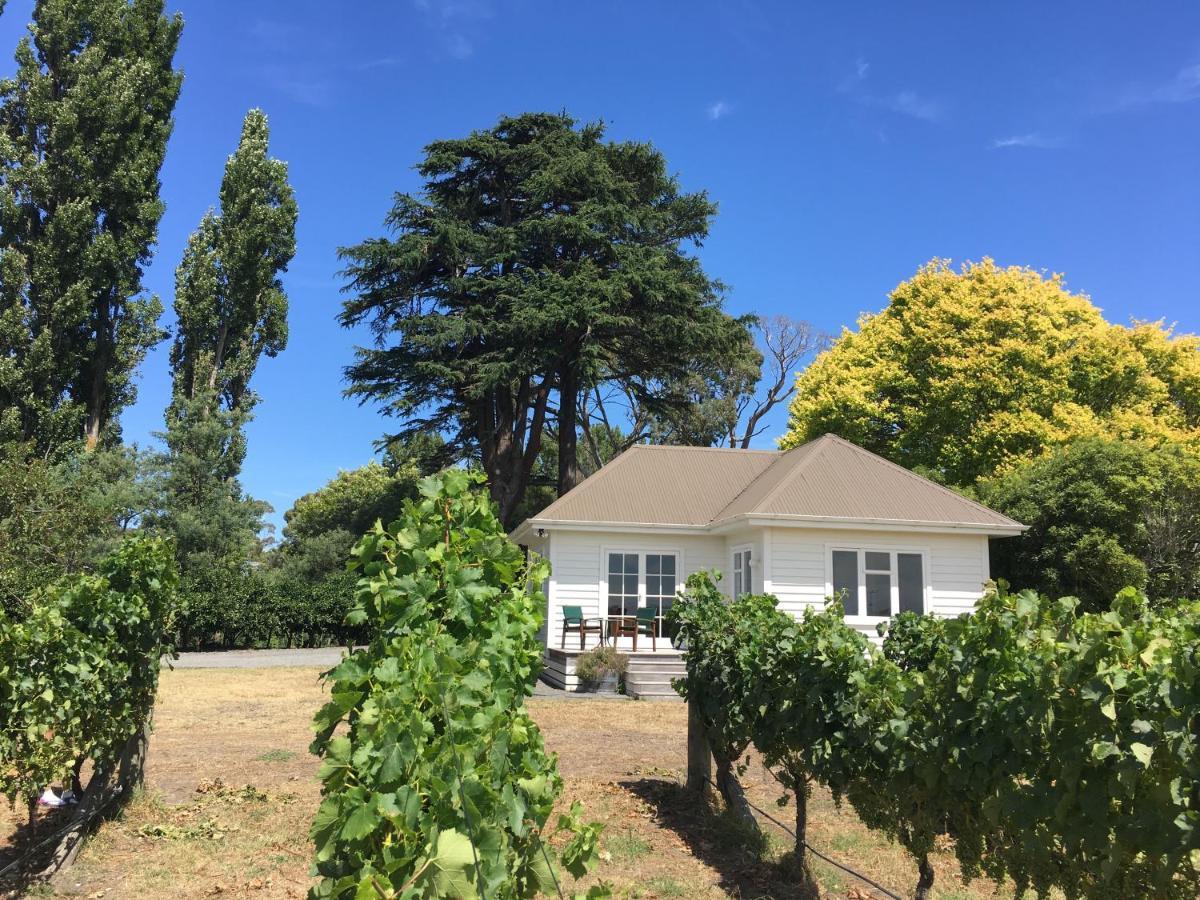 Tuki Vineyard Cottage Havelock North Exteriör bild
